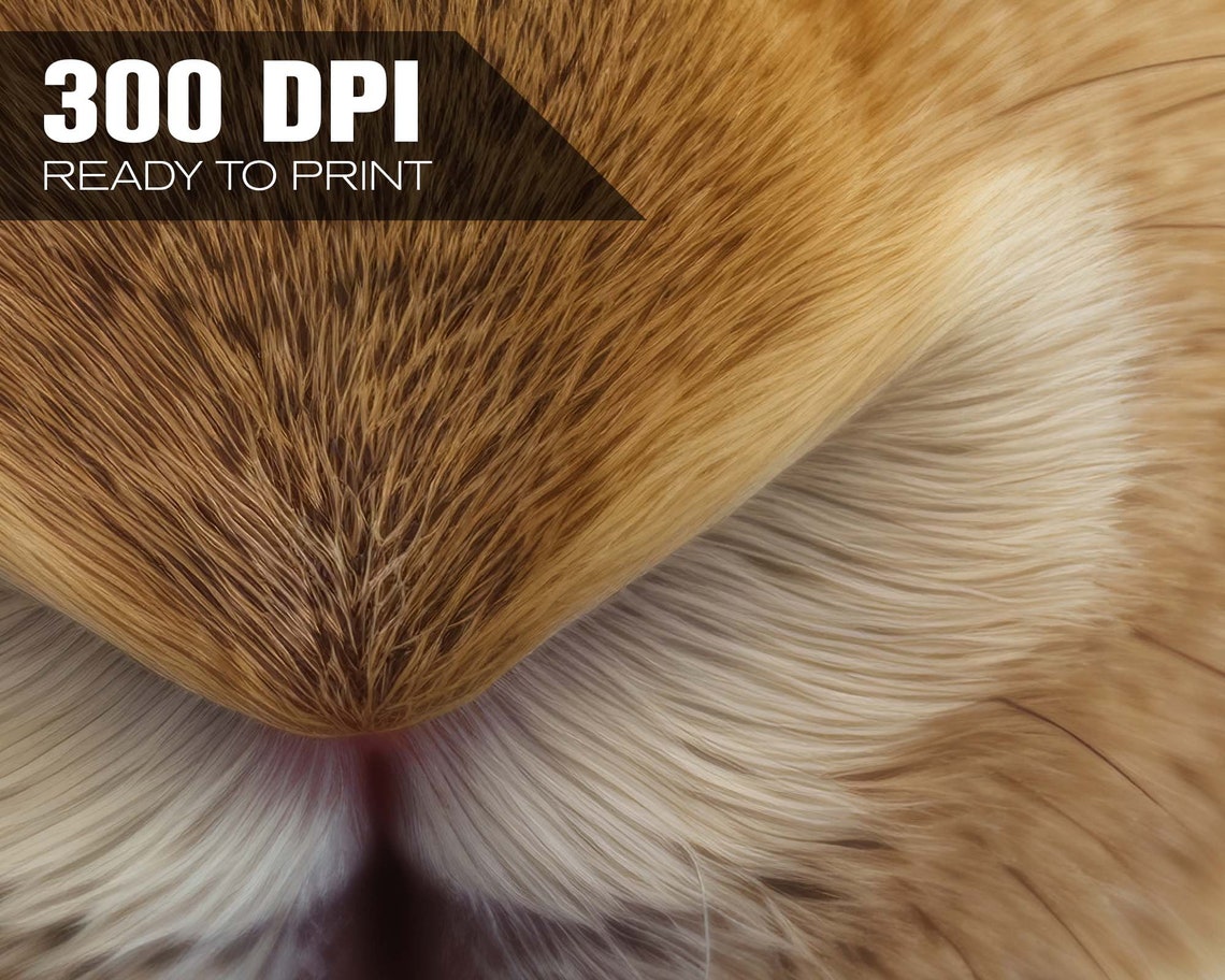 Rabbit Face Close Up Nose Whiskers Macro Wildlife Photography Poster - Image 4