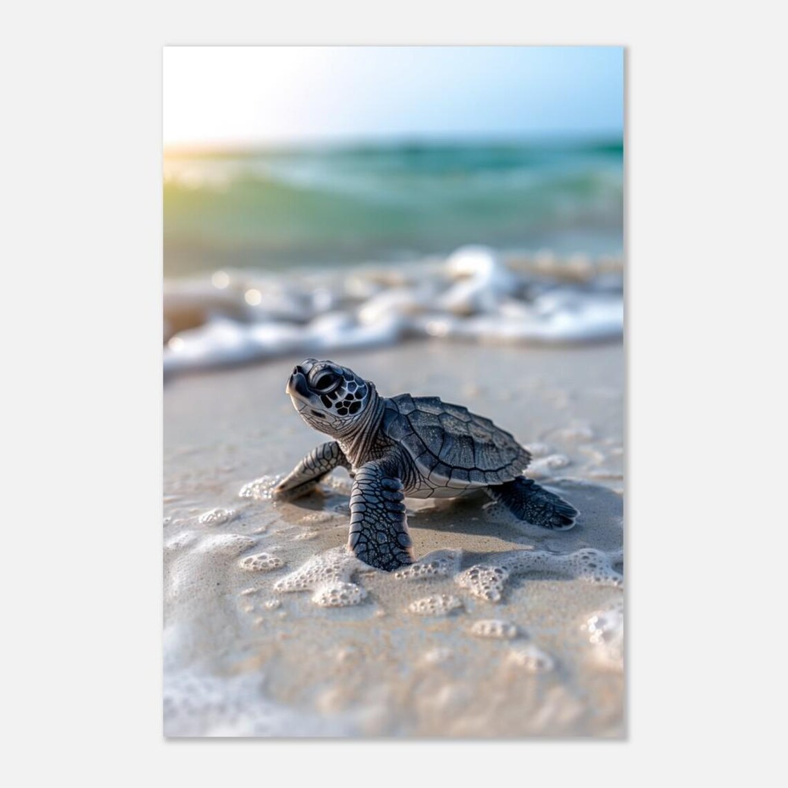 Baby Sea Turtle Hatchling On Beach Sand Ocean Shore Photo Poster - Image 4