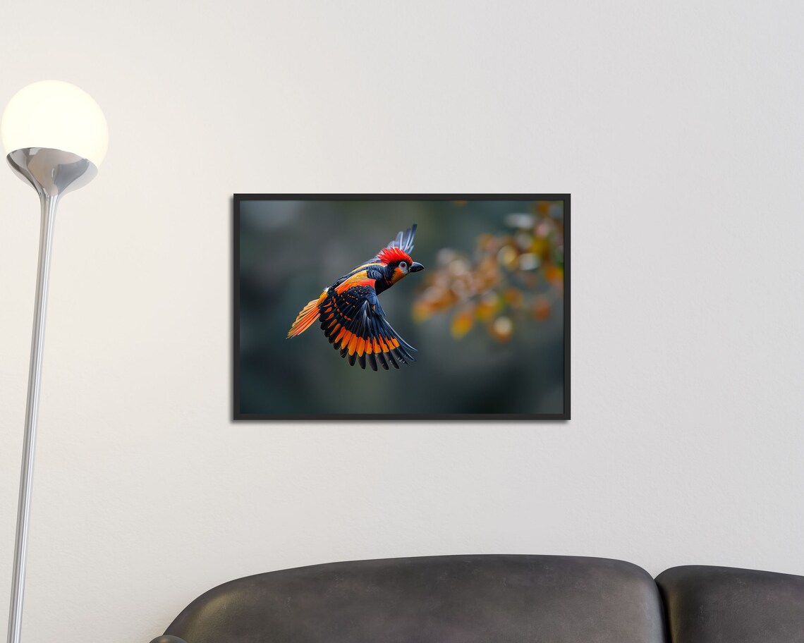 Red And Black Songbird In Flight Wildlife Birdwatcher Art Poster - Image 2