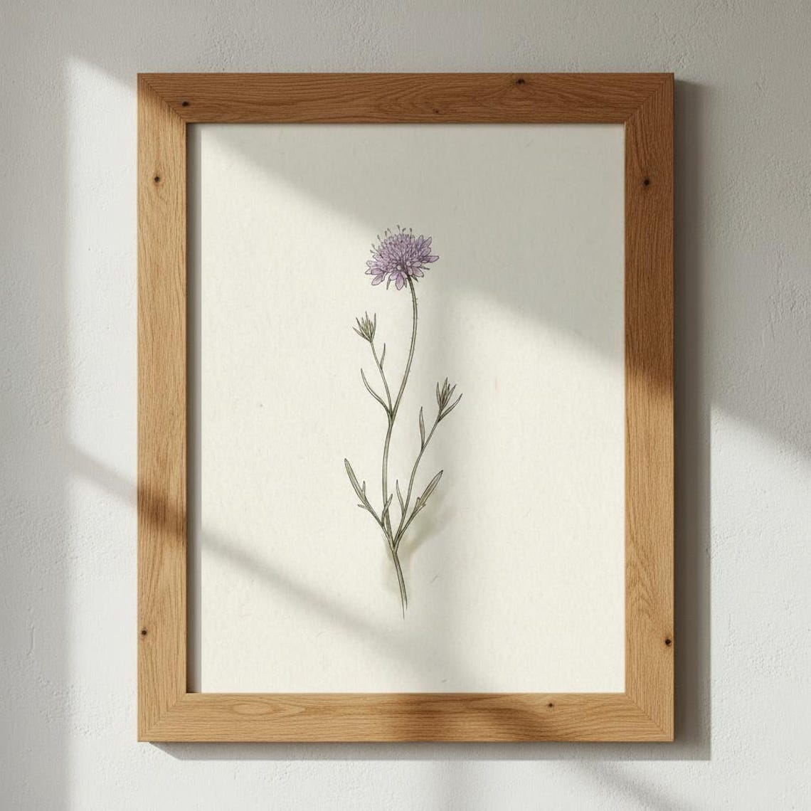 Purple Scabious Botanical Print Minimalist Wildflower Poster