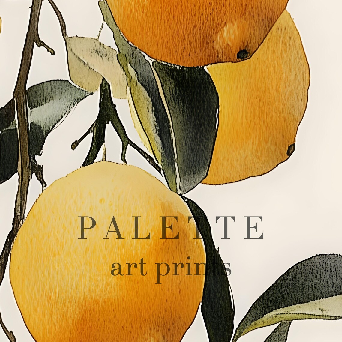 Lemon Tree Branch, Botanical Watercolor Art Print - Image 2