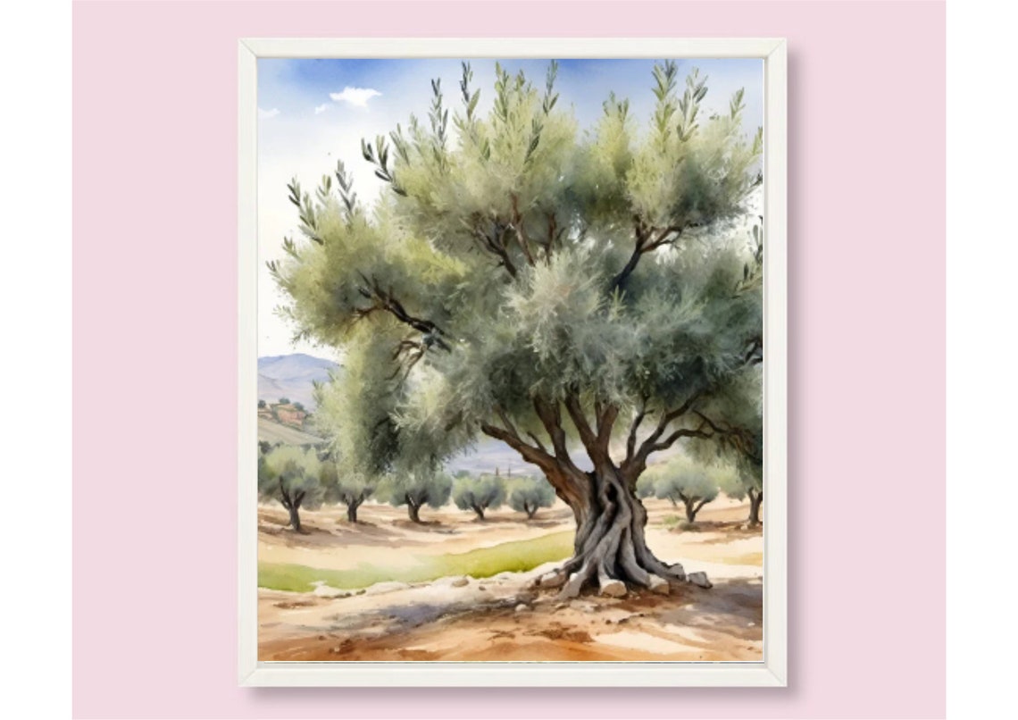 Santa Ynez Painting Olive Tree Watercolor Art Print California Country Landscape Wall Art Olive Plant Art Farmland Art Farmhouse Wall Decor - Image 6