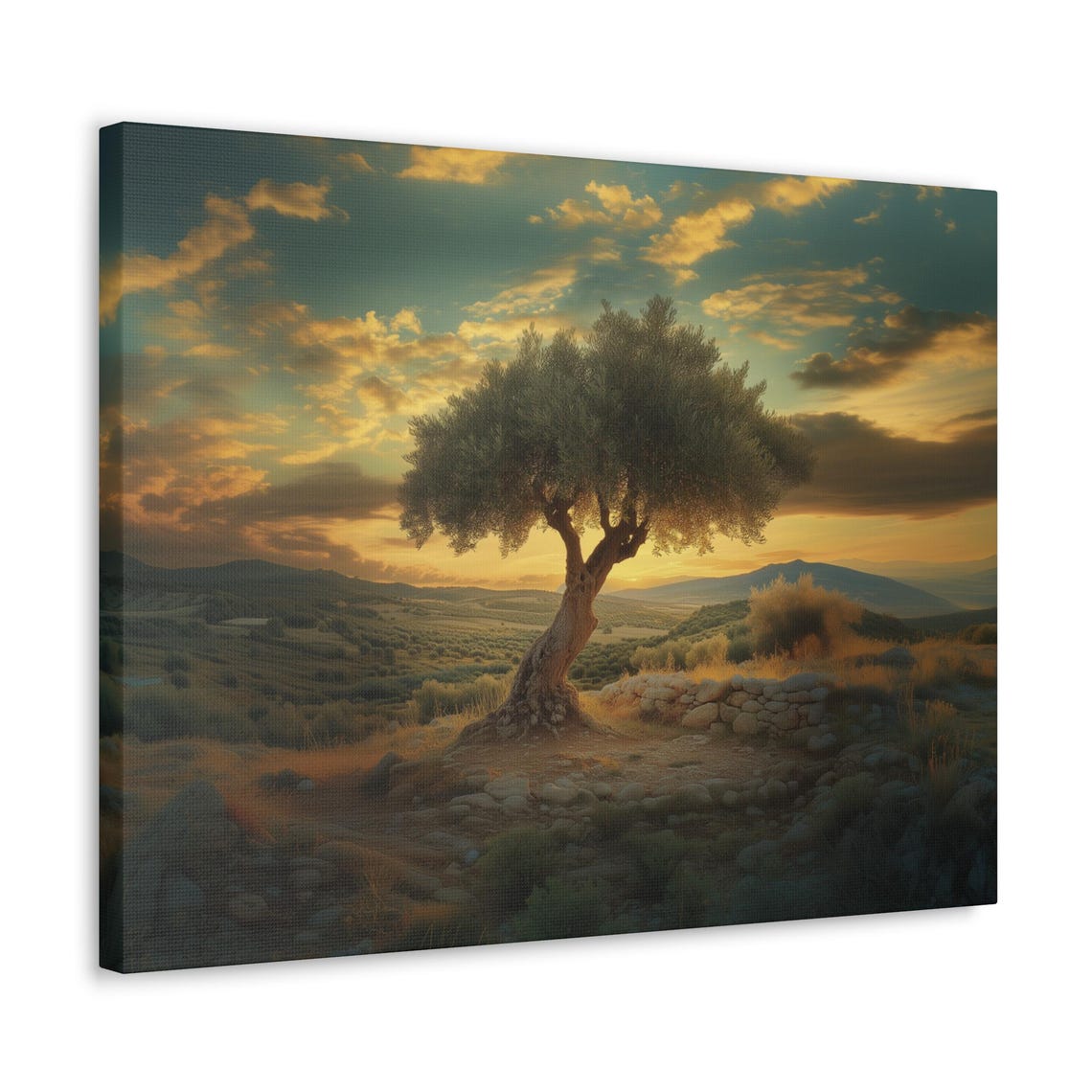 Solitary Olive Tree Golden Sunset Mediterranean Landscape Art Poster