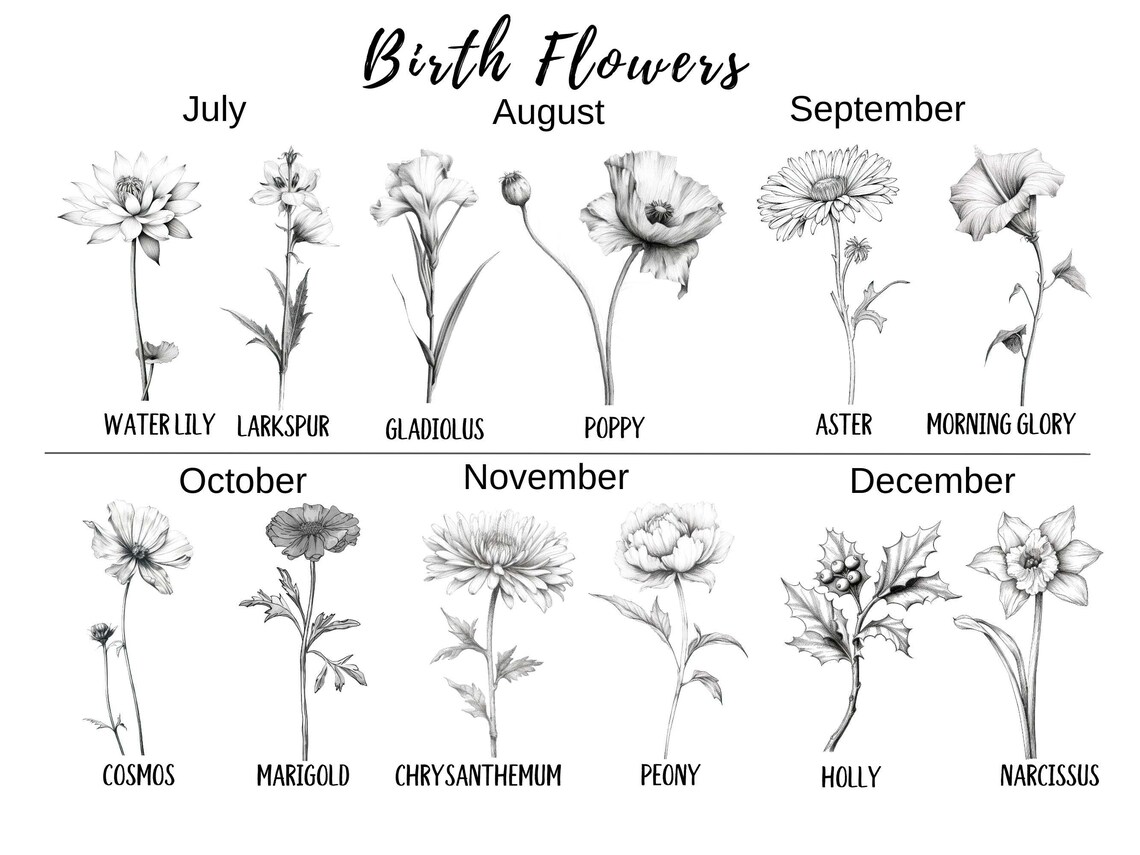 Custom Birth Flower Family Garden Personalised Gift - Image 3