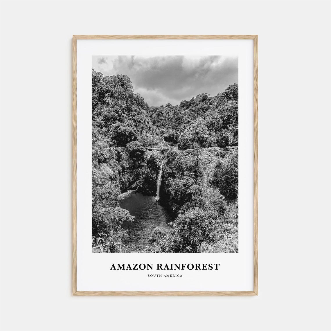 Amazon Rainforest Jungle Waterfall Black and White Nature Poster