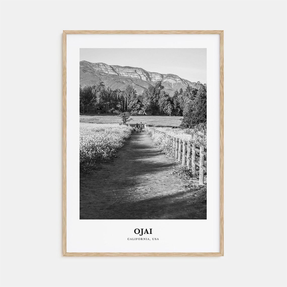 Ojai California Trail with Horseback Riders Mountain Photo Poster