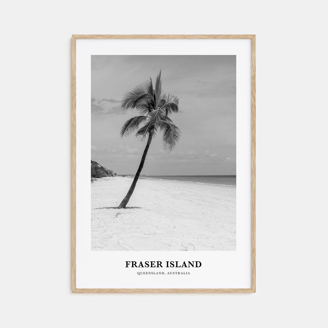 Fraser Island Queensland Leaning Palm Tree Beach Black White Poster
