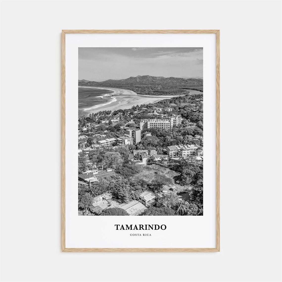 Tamarindo Costa Rica Beach Aerial Black And White Coast Photo Poster