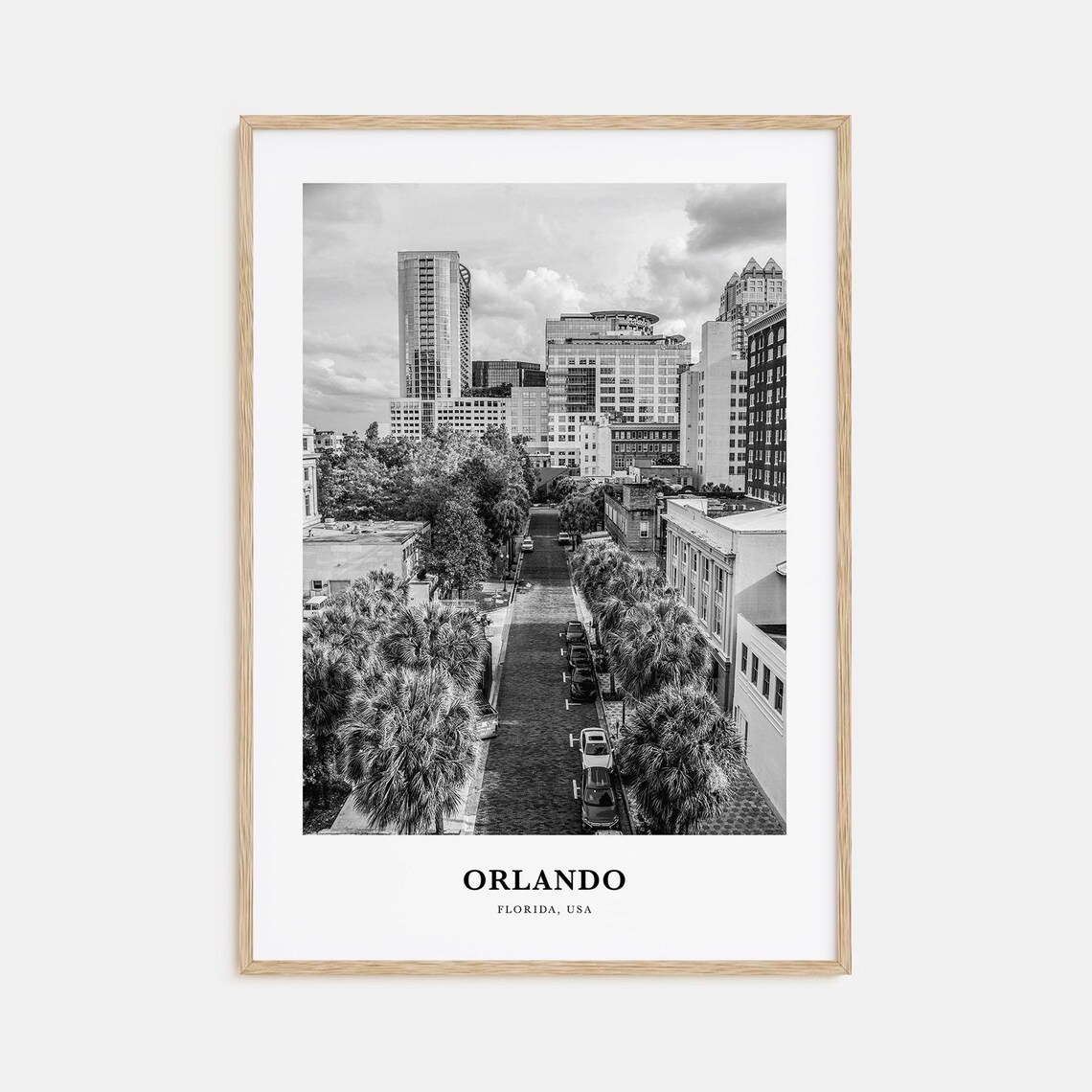 Orlando Downtown Brick Street Palms Black White Florida Travel Poster