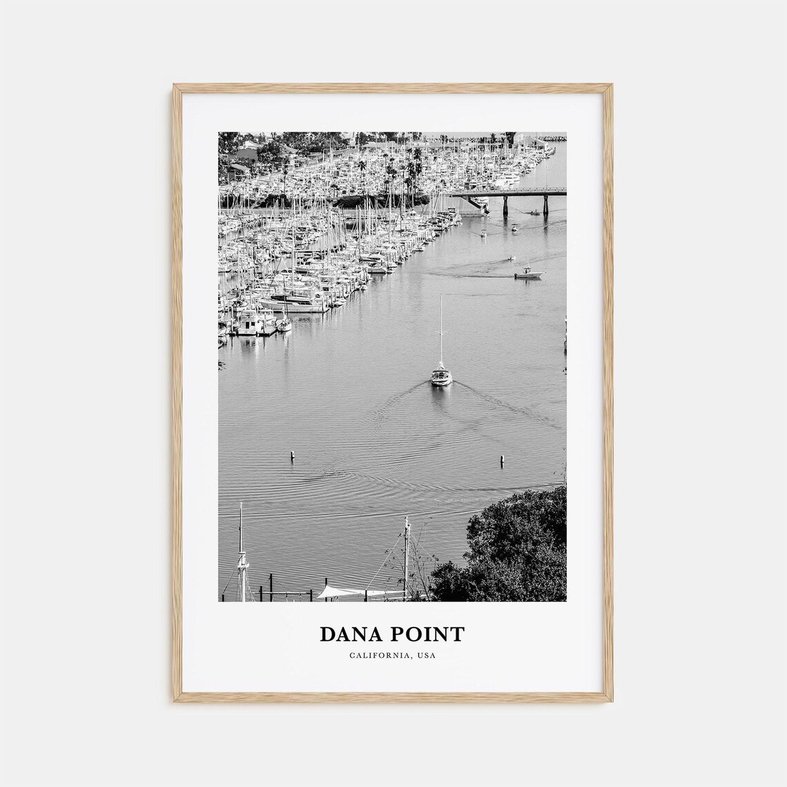 Dana Point California Harbor Marina With Sailboats and Masts Poster