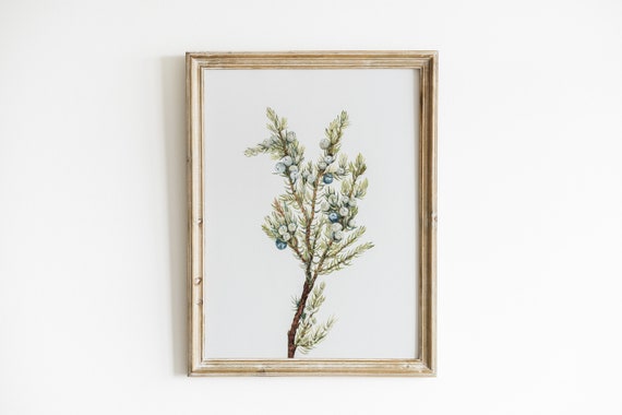 Winter Branch Vintage Christmas Poster