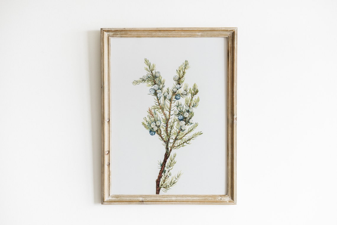 Winter Branch Vintage Christmas Poster