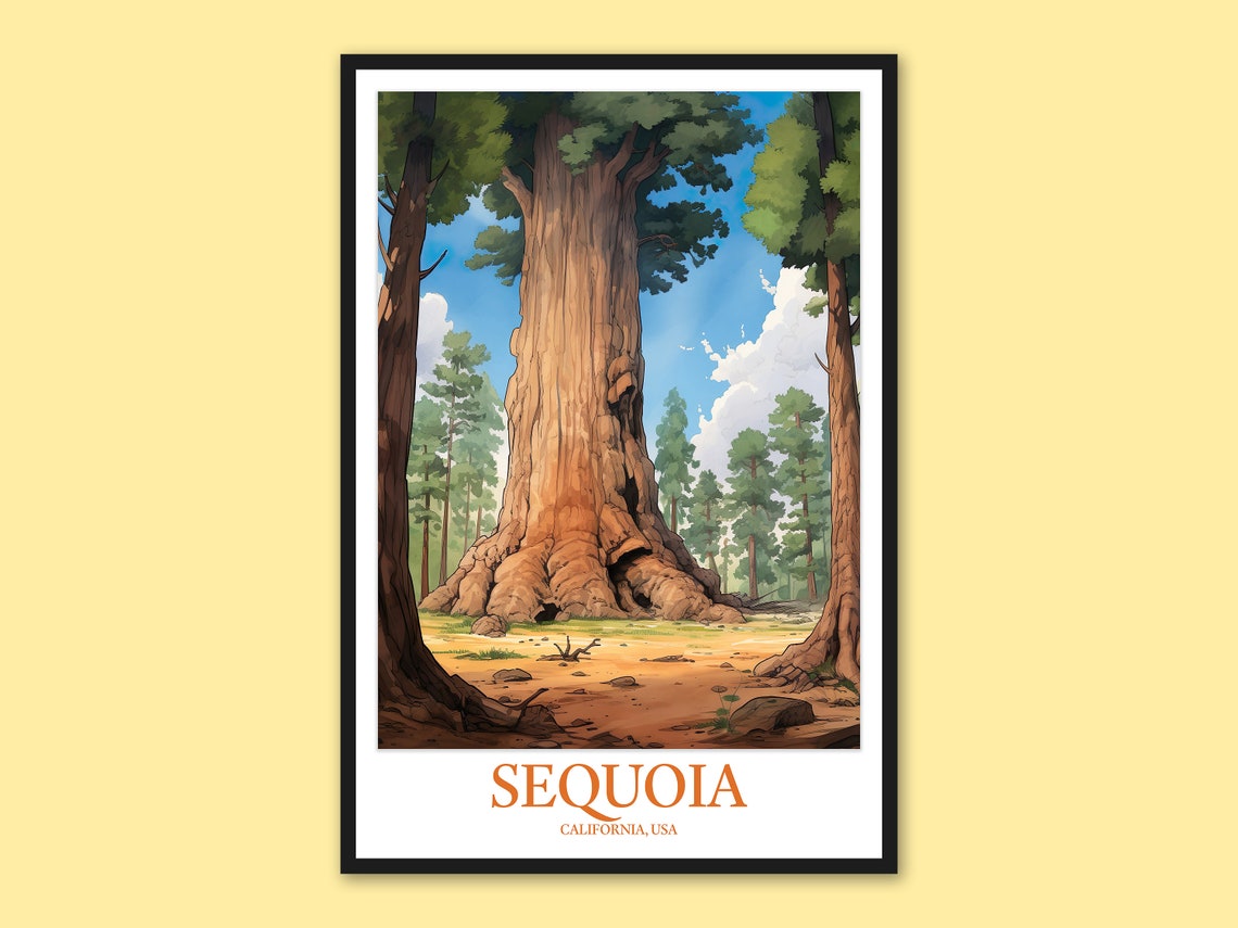 Sequoia National Park Towering Redwood Base Illustration Poster