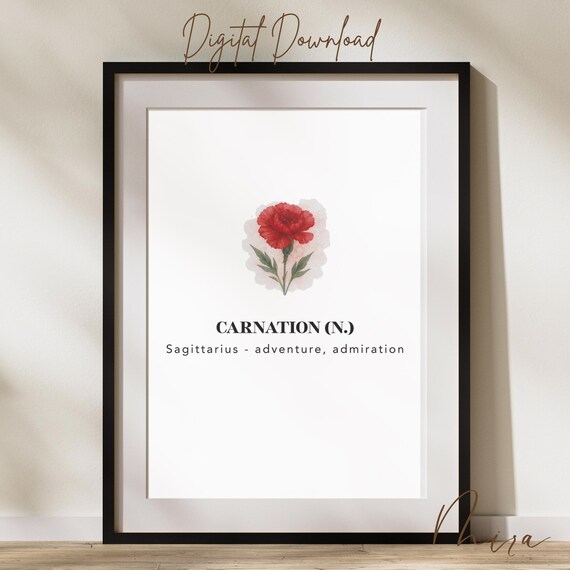 Carnation Birth Flower Sagittarius Zodiac Minimalist Poster Decor