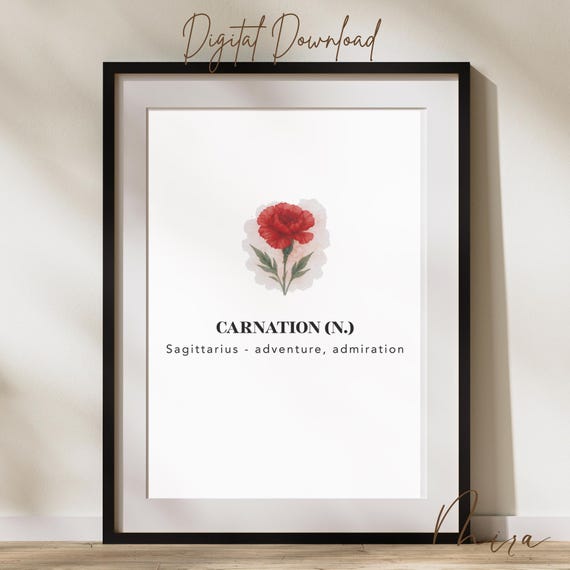 Sagittarius Carnation Birth Flower Print Minimalist Zodiac Astrology Poster Pdf