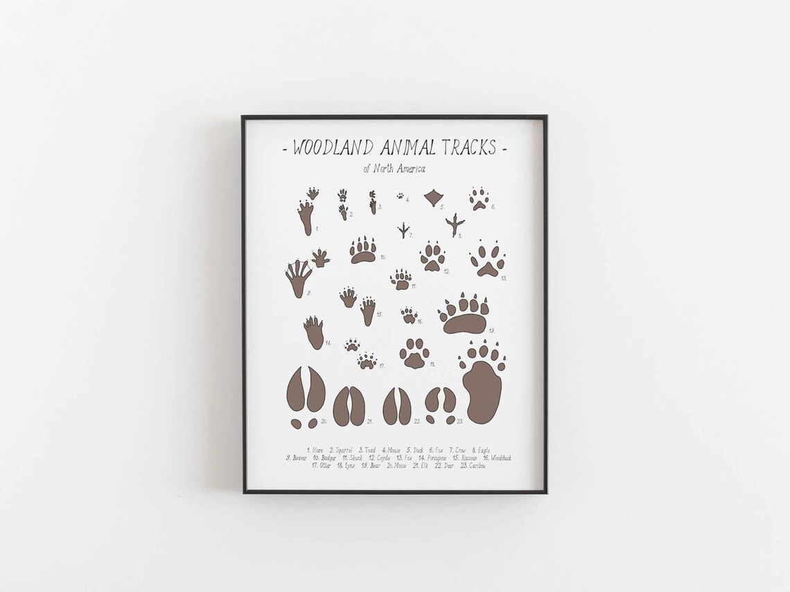 Animal Tracks Woodland Nursery Art Print - Image 3