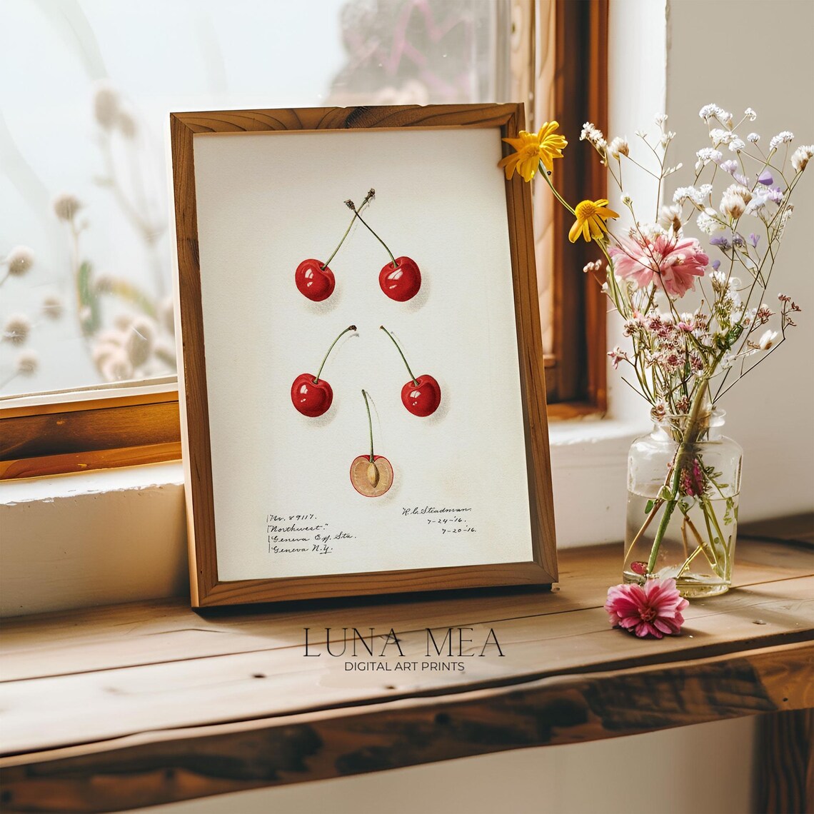 Vintage Cherry Antique Botanical Illustration, Kitchen - Image 2