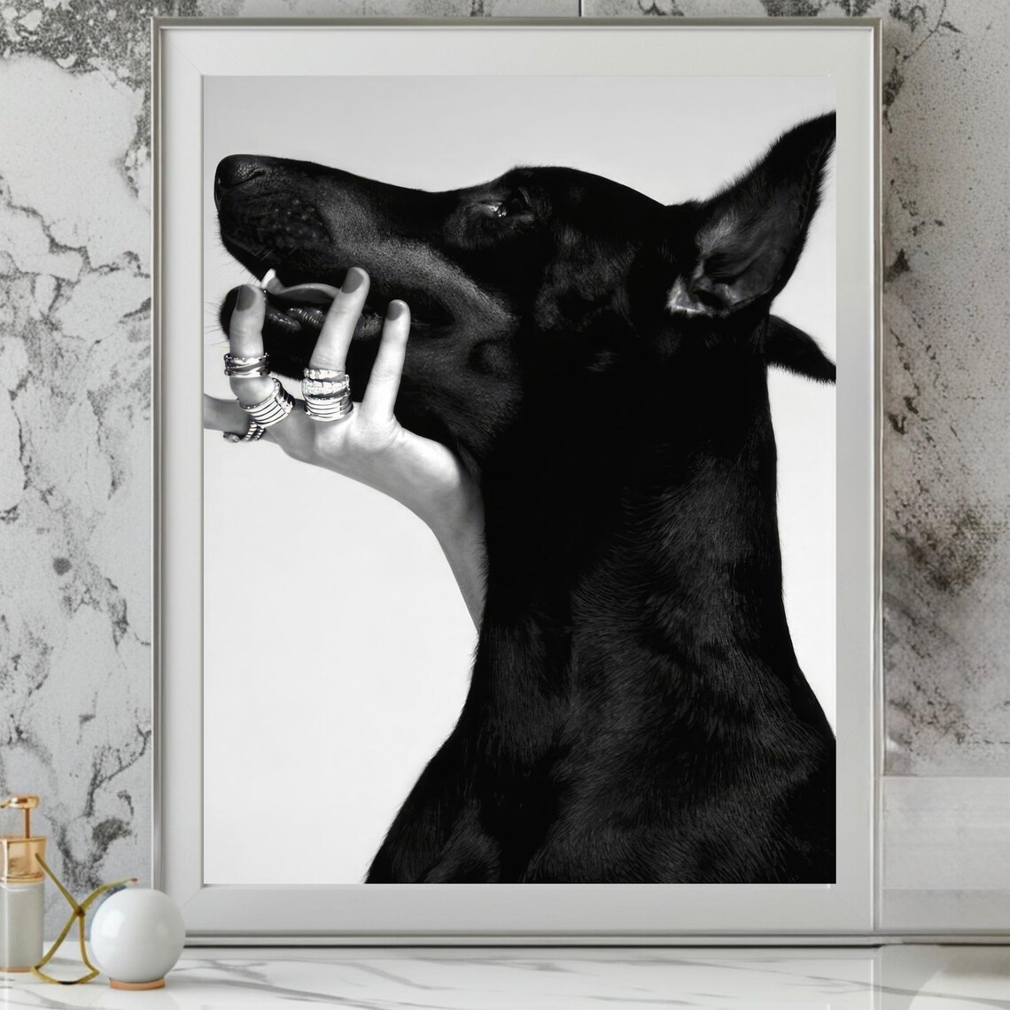 Doberman Dog Fashion Photography Black And White Glamour Poster