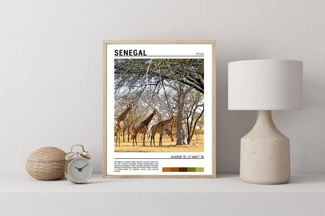 Senegal West Africa Giraffe Herd Savanna Acacia Trees Poster - Image 2