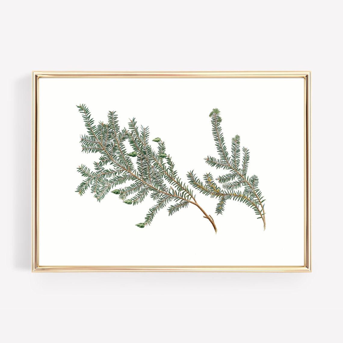 Pine Branch Botanical Winter Greenery Rustic Farmhouse Wall Art