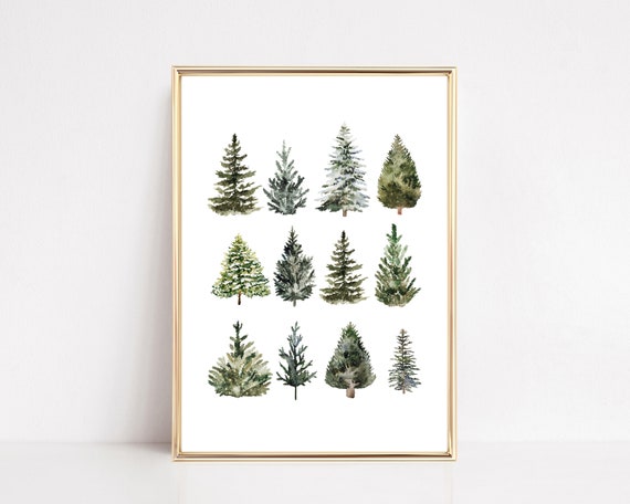 Farmhouse Christmas Pine Tree Art Print