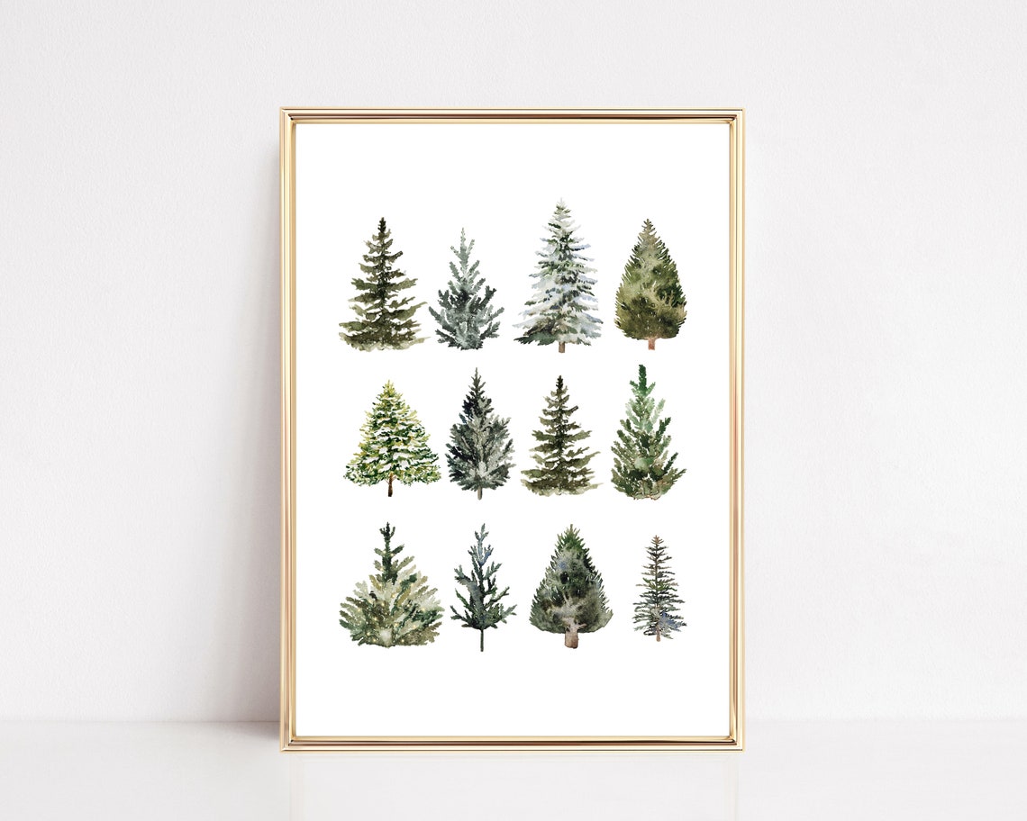 Farmhouse Christmas Pine Tree Art Print