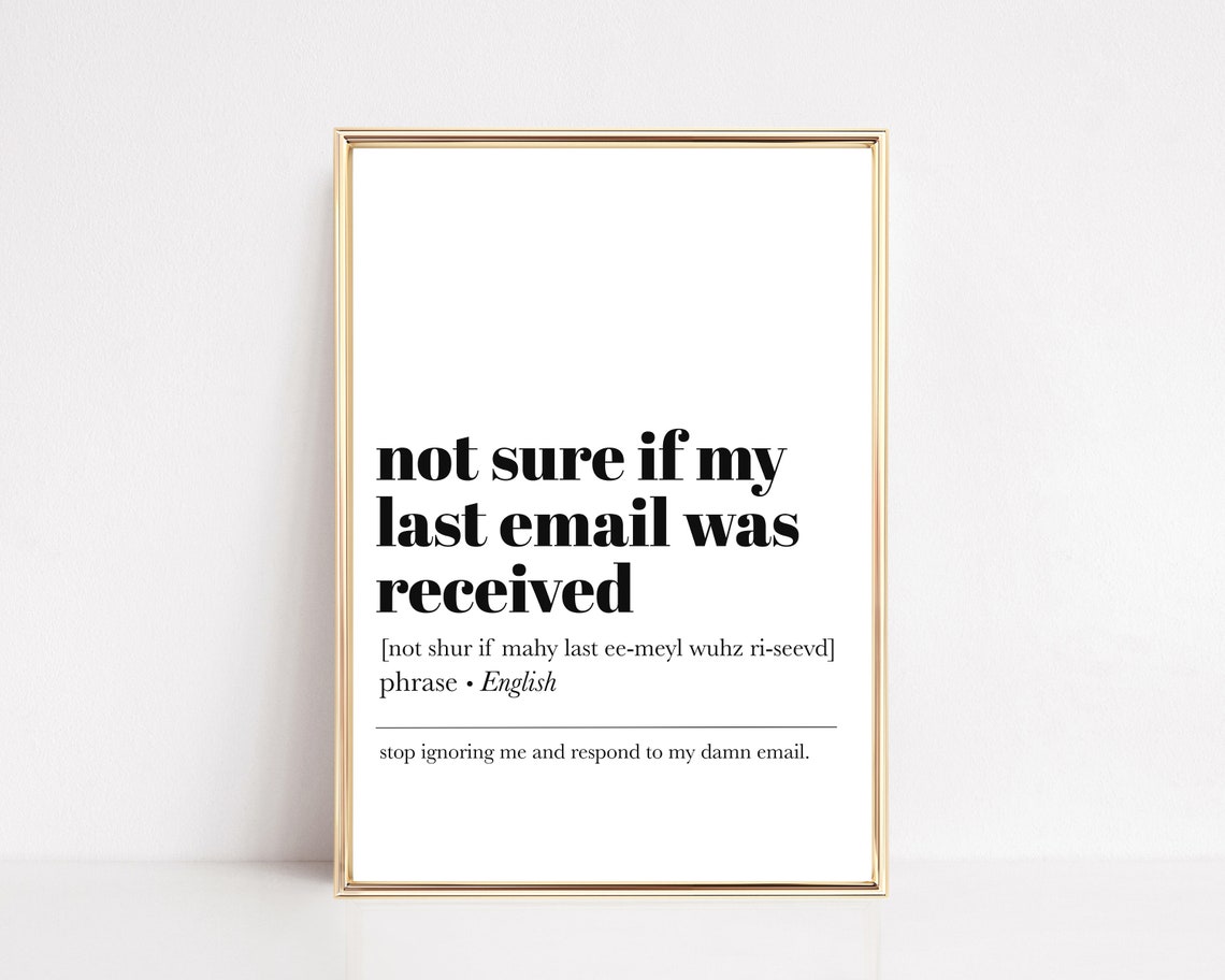 Not Sure If My Last Email Was Received Funny Definition Poster
