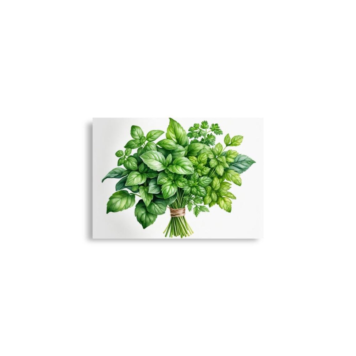 Parsley and Basil Watercolor Art Print, Botanical Herbs - Image 6