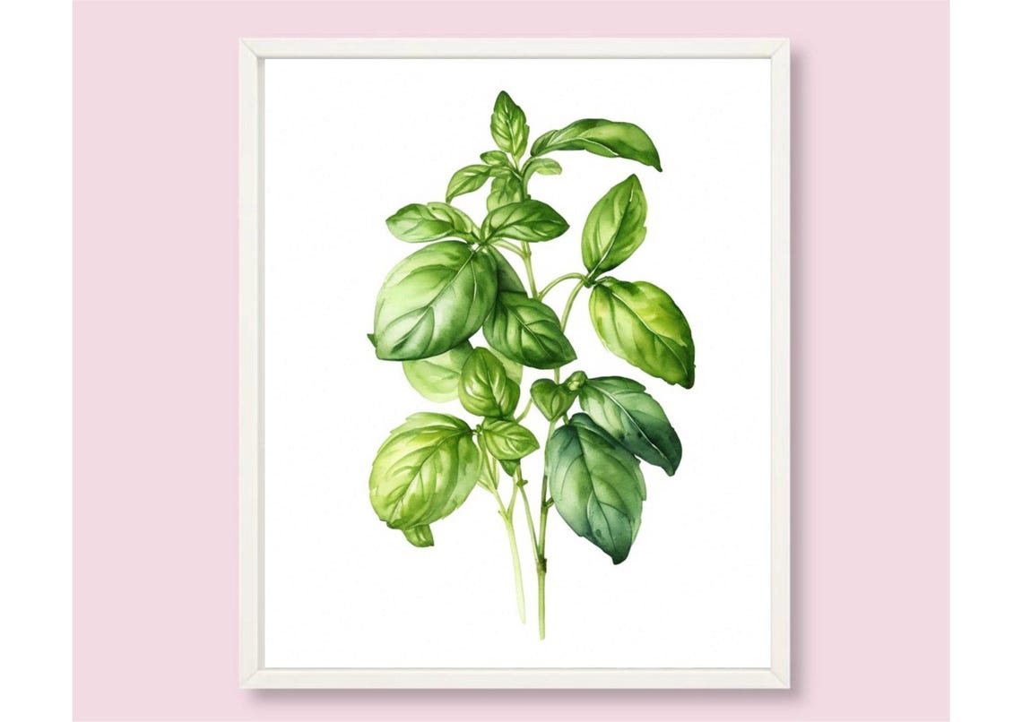 Fresh Basil Sprigs Botanical Watercolor Kitchen Herb Wall Poster - Image 6