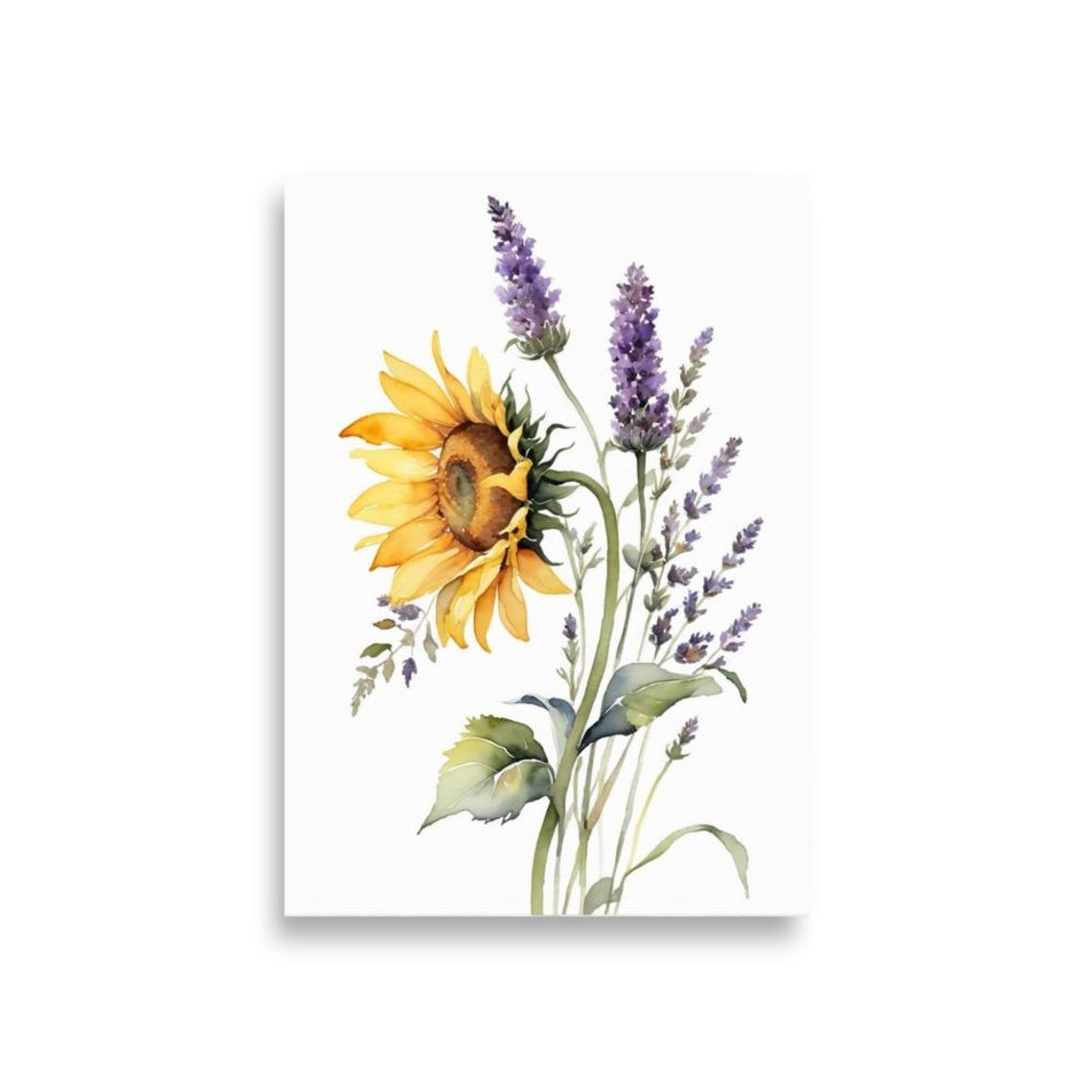 Sunflower With Lavender Sprigs Botanical Watercolor Floral Poster - Image 2