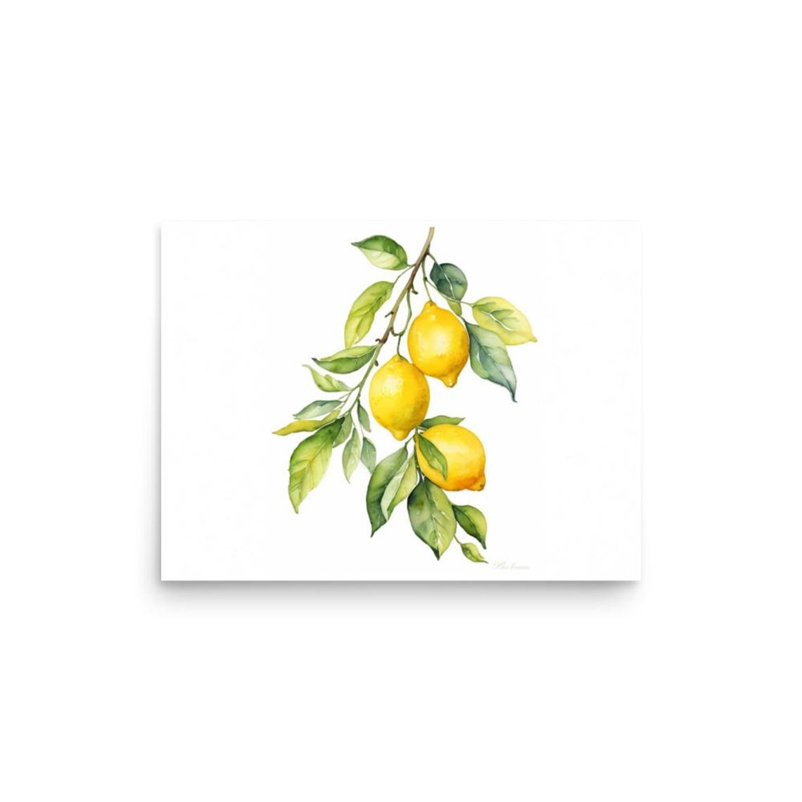 Ripe Lemon Branch Citrus Watercolor Kitchen Fruit Still Life Poster - Image 3