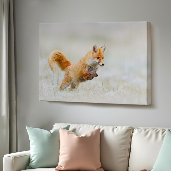 Playful Red Fox Cub Leaping Through Tall Meadow Grass Wildlife Photo Poster