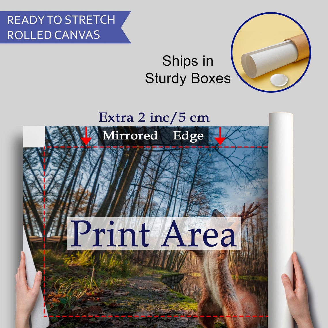 Playful Squirrel Standing Arms Up Forest Pond Cute Wildlife Poster - Image 4