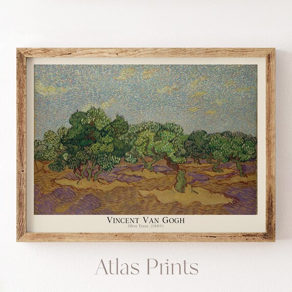 Vincent Van Gogh Olive Trees 1889 Famous Landscape Oil Painting Print