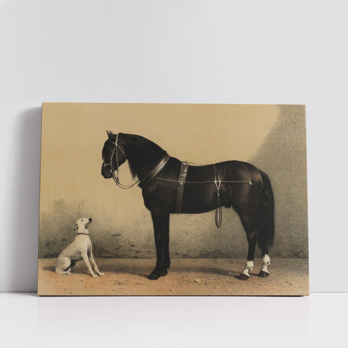 Noble Black Horse With White Dog Vintage Equestrian Wall Art - Image 4