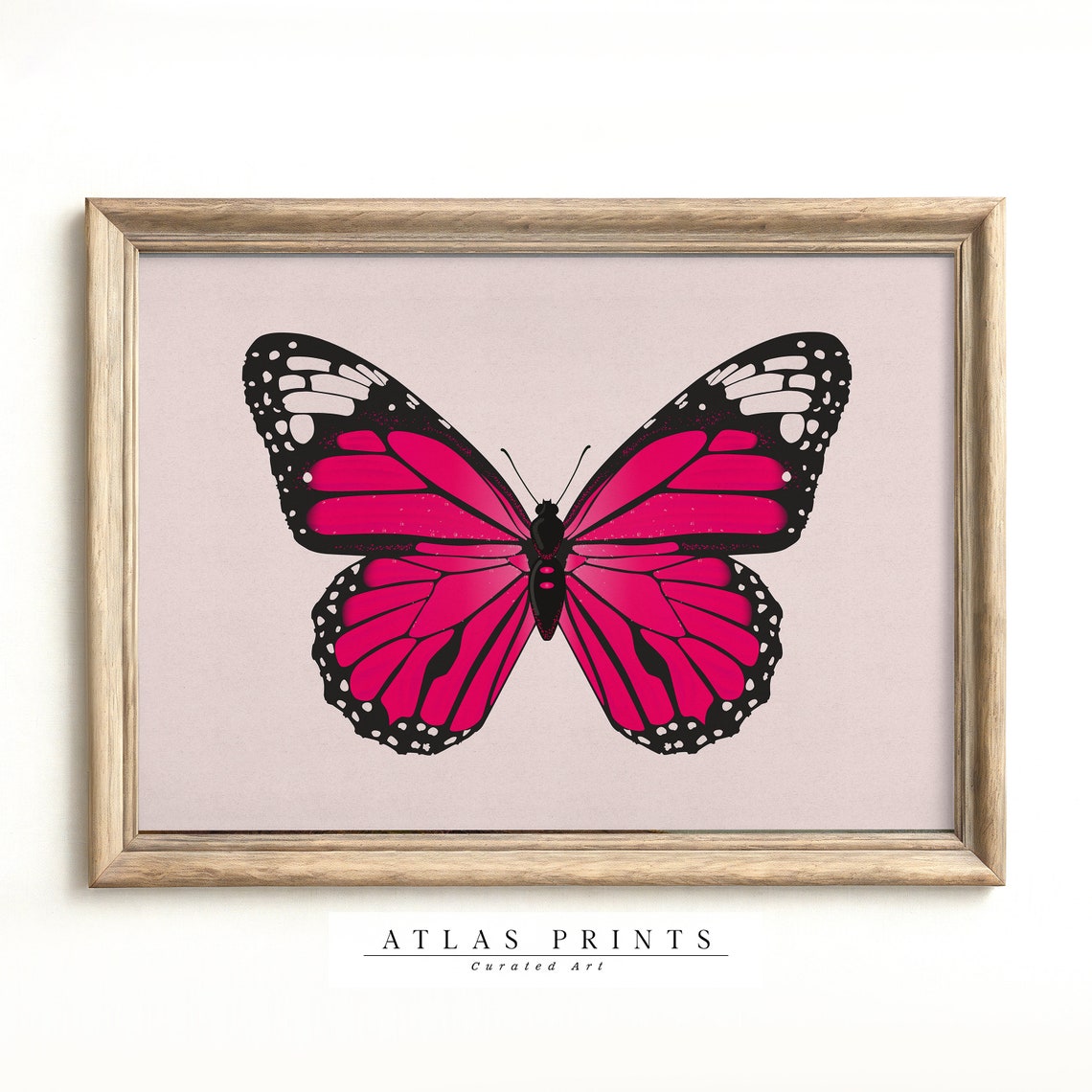 Hot Pink Butterfly Blush Background Modern Insect Art Poster
