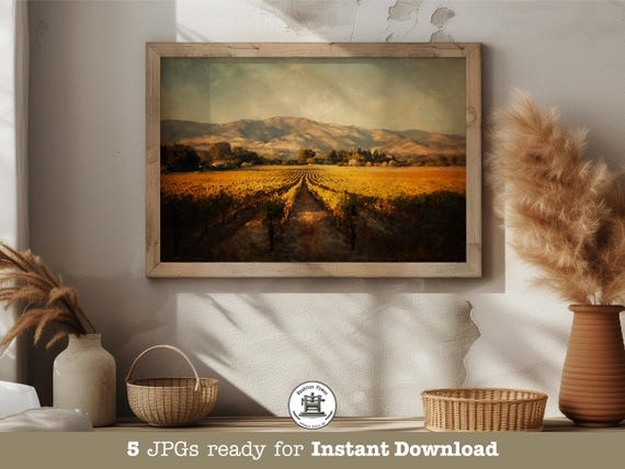 Golden Vineyard Rows Sunset Wine Country Rustic Landscape Print