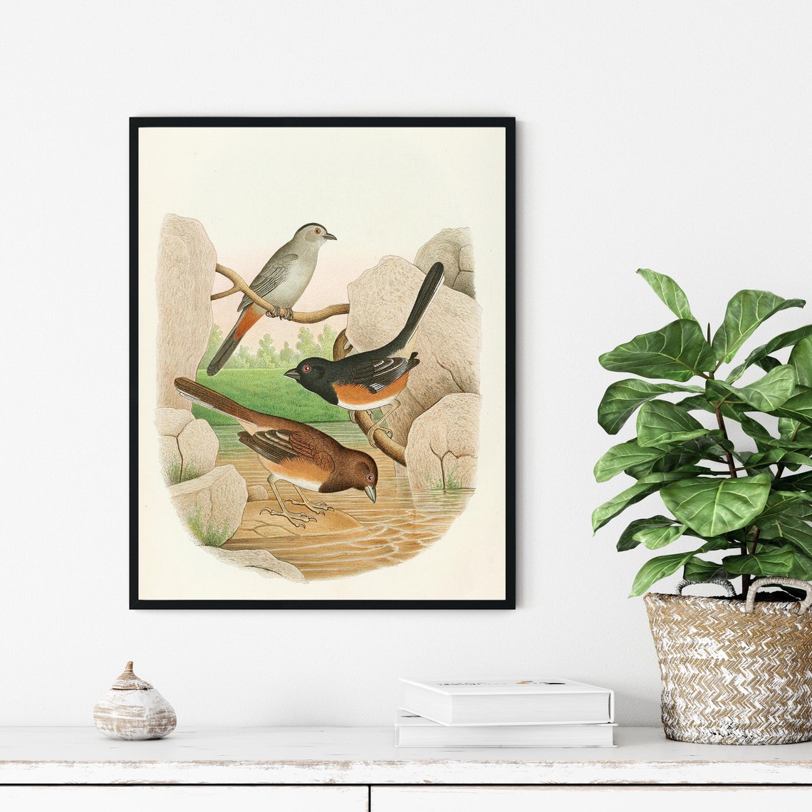 Catbird and Towhee Songbirds at the Stream Vintage Art Poster - Image 3