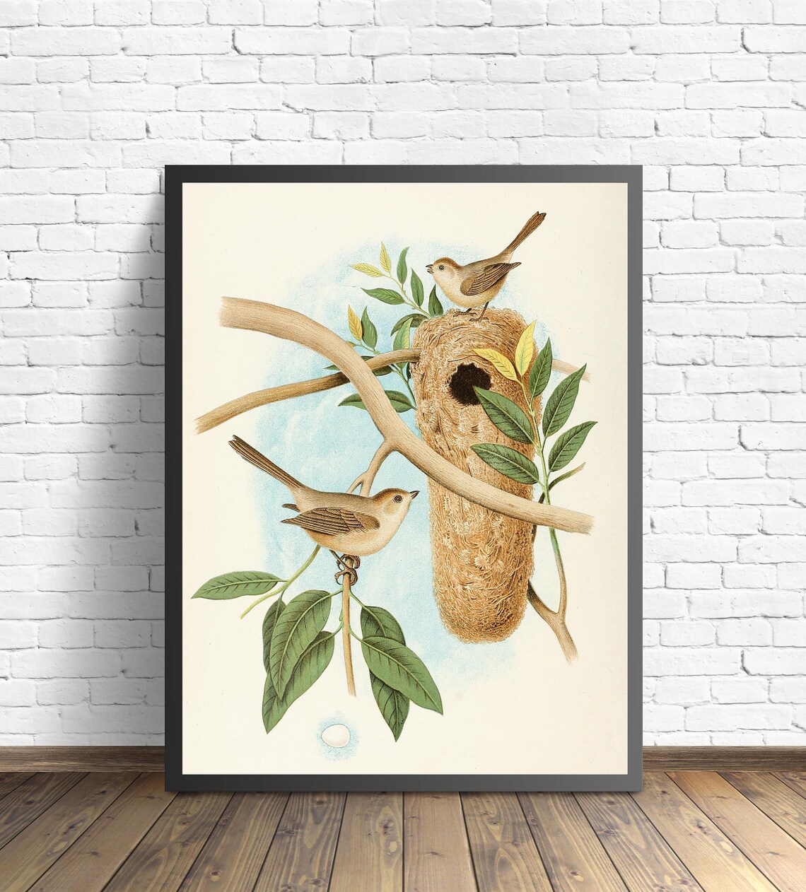 Bushtits at Their Hanging Woven Nest Vintage Bird Art Poster - Image 2