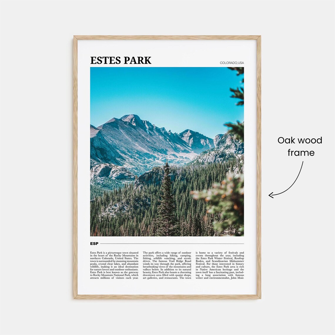 Estes Park Travel Poster, Colorado USA - Image 3