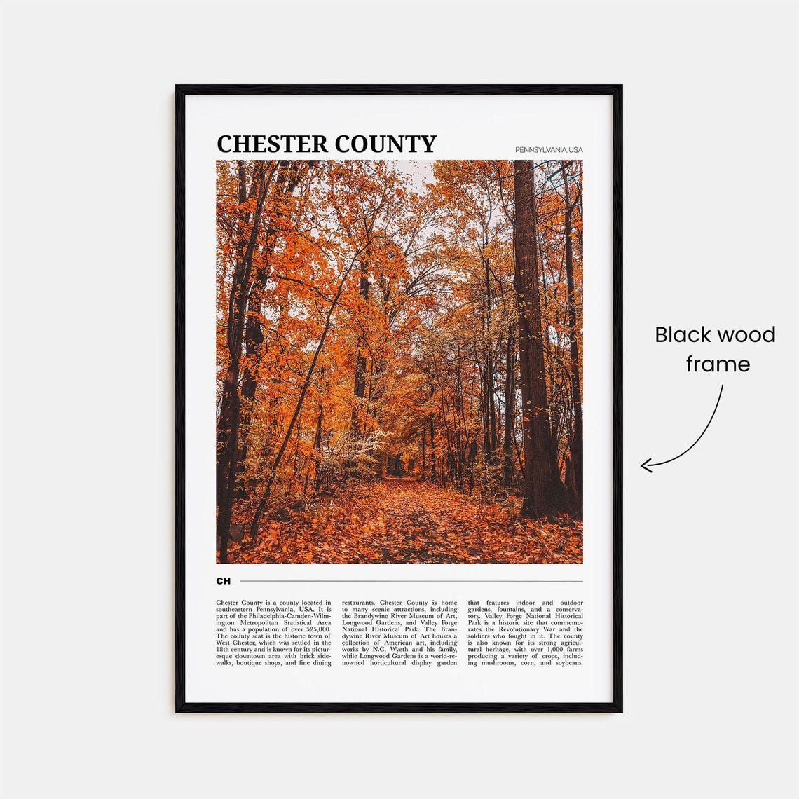 Chester County Pennsylvania Travel Poster Autumn Forest Foliage View - Image 2