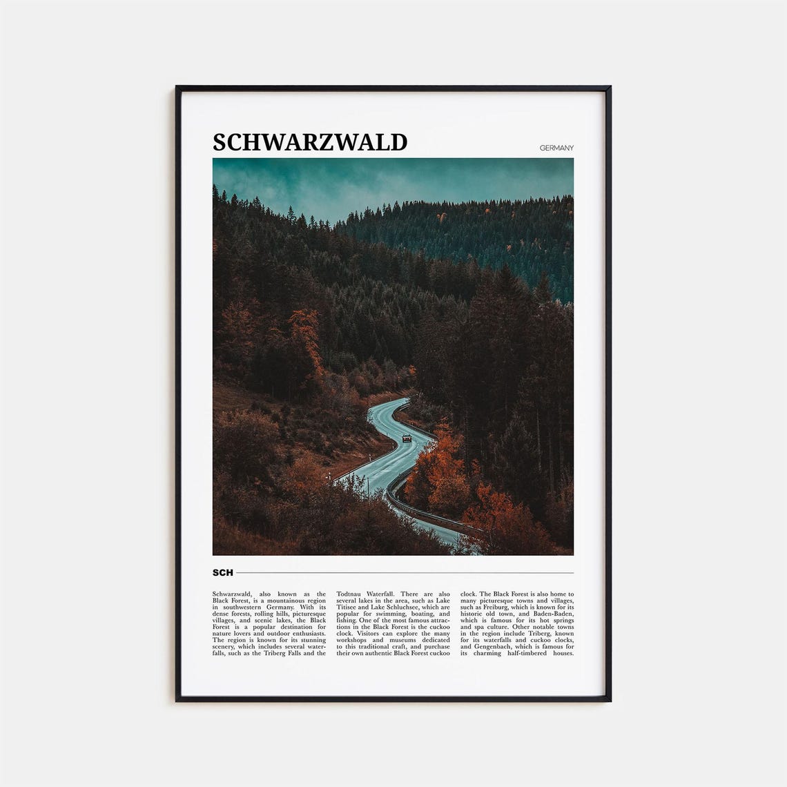 Schwarzwald Germany Black Forest Winding Road Pine Trees Poster