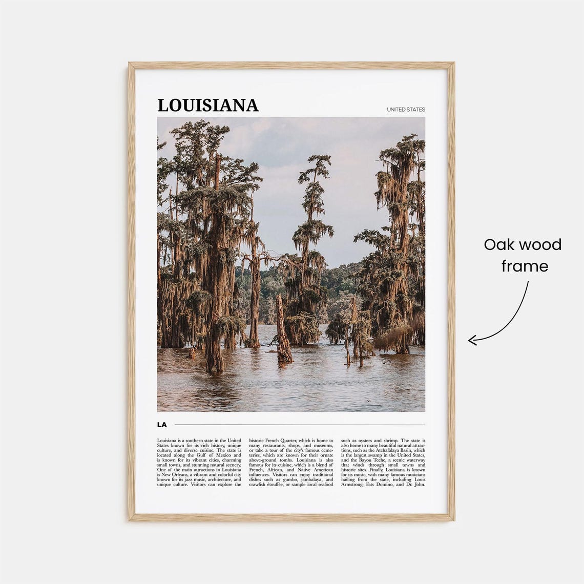 Louisiana Travel Poster Louisiana Wall Art Louisiana Poster Print Louisiana Photo Louisiana Decor Usa - Image 3