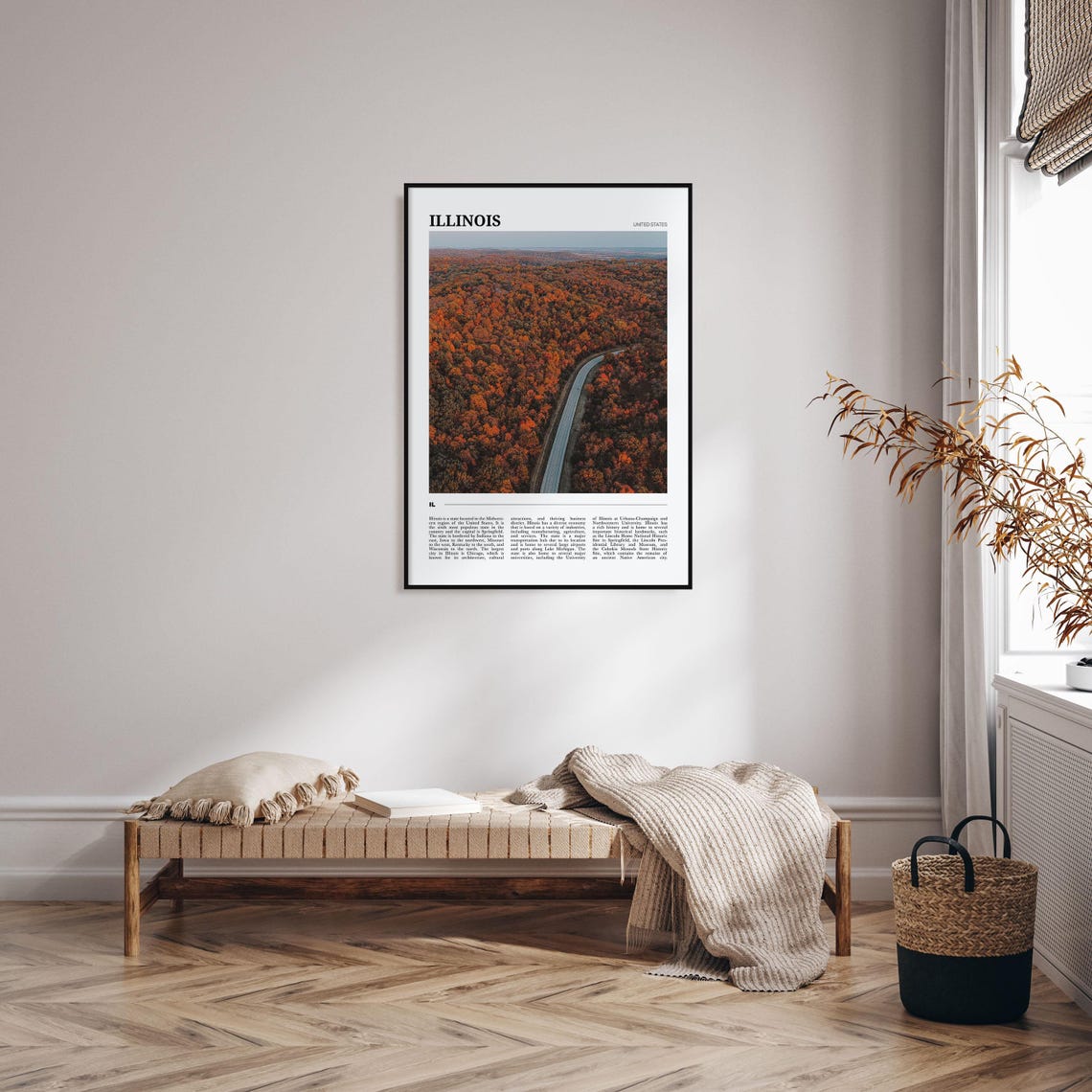Illinois USA Scenic Fall Foliage Forest Highway Aerial Poster - Image 4