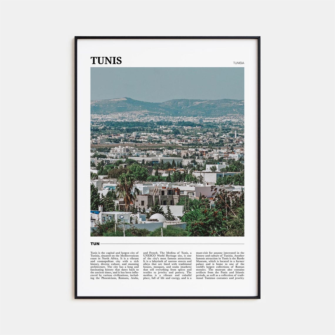 Tunis Tunisia White City Mediterranean Coastal Travel Poster
