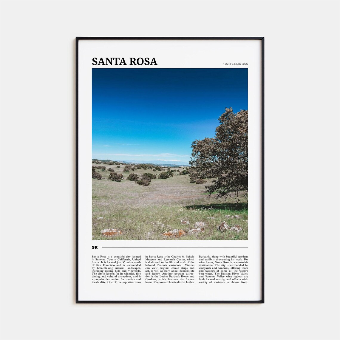 Santa Rosa California Rolling Hills Grassland Landscape Photo Poster
