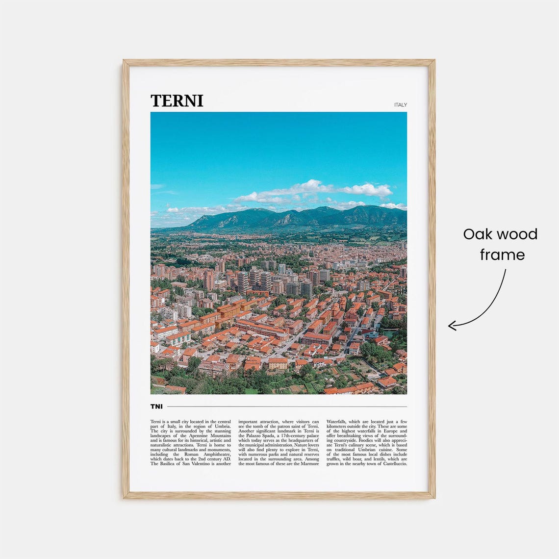 Terni Italy Umbria Terracotta Rooftops Aerial City View Travel Poster - Image 3