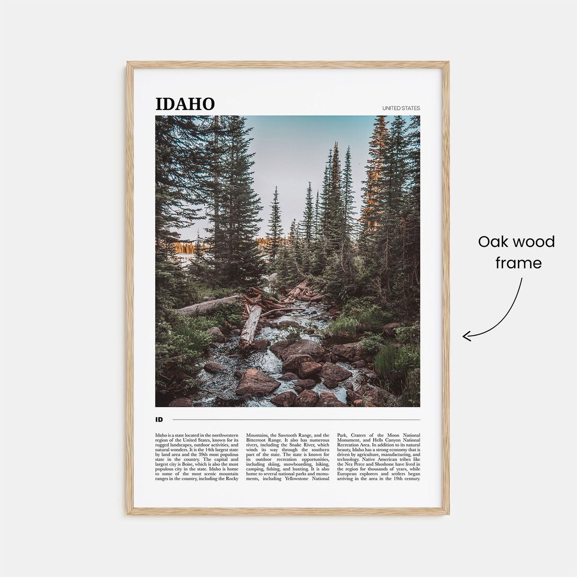 Idaho Vintage Travel Poster, Idaho Wall Art Print - Image 3