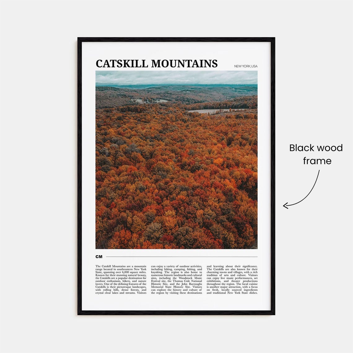 Catskill Mountains New York Travel Poster Autumn Forest Valley View - Image 2