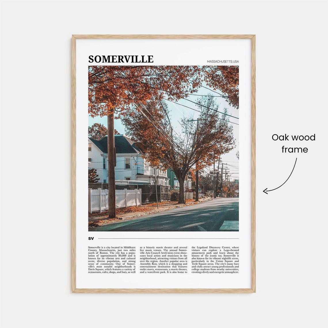 Somerville Massachusetts Autumn Street Fall Foliage Travel Poster - Image 3